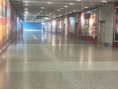 -重庆江北国际机场-T2航站楼