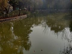 -西安市长乐公园