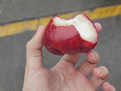 -川巷子(海甸五东路店)