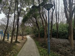 -长广溪湿地公园