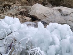 -黑龙潭风景区