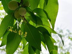 -北京凤凰岭