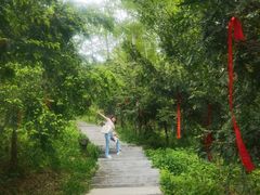 -东明山森林公园