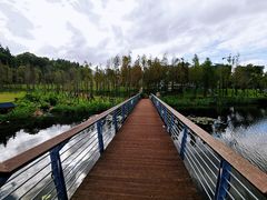 -牛岗山公园