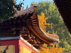 -方山风景区定林寺