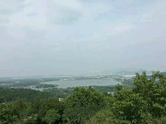 -香雪海