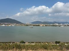 -芒洲湿地公园