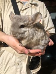 -Zoolung Zoolung动物主题公园(海信广场店)