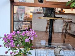 -有猫主题·治愈系猫咖(曾厝垵店)