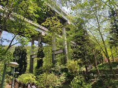 -阿哈湖国家湿地公园