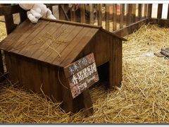 小香猪窝特写-远洋未来广场(育慧北路店)