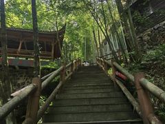 -藏龙百瀑风景区