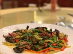 麻婆鲜椒爆肝腰-陈麻婆豆腐(春熙店)