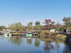 -上海长兴岛郊野公园