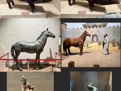 -中国农业博物馆