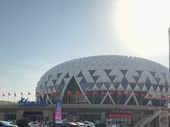 -水秀国际大剧院