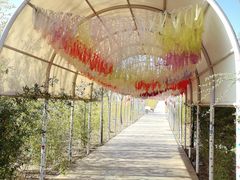 -西部长青自然儿童乐园