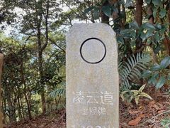 -梧桐山风景名胜区