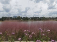 -上海植物园-4号门售票处