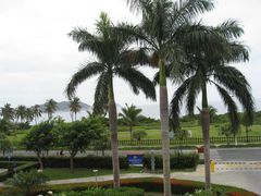 IMG_2455-三亚亚龙湾金棕榈度假酒店