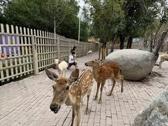 -水上乐园·欢乐世界