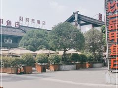 -高坎一品甲鱼庄(两河店)