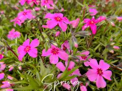 -洋湖国家湿地公园