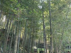 -山沟沟景区