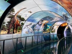 -房山世界地质公园博物馆