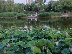 -西海子公园