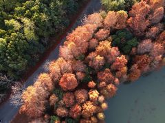 -上海海湾国家森林公园