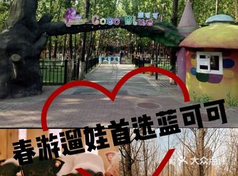 春游遛娃必选北京蓝可可