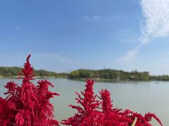 -昆山城市生态森林公园