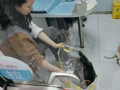 -纳吉亚猫专科动物诊疗中心(蒋宅口分院)