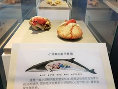 -中国（海南）南海博物馆