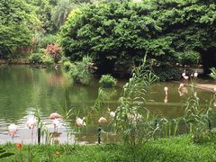 -九龙公园