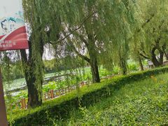-长春市南湖公园
