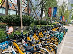 -合景·悠方(成都店)