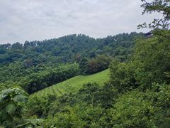 -敬亭山风景名胜区