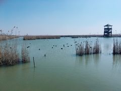 -盐城丹顶鹤湿地生态旅游区