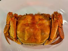 -美食汇·海鲜自助餐·家庭聚会·商务宴请(青秀万达文华店)
