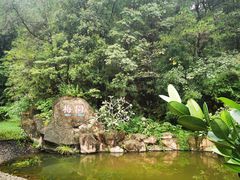 -神光山国家森林公园