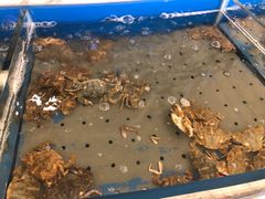 -澜悦港海鲜体验主题餐厅