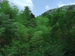 -藏龙百瀑风景区