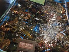 -徐记海鲜(汉城湖|太奥店)
