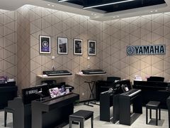 -知音艺术教育培训·钢琴培训·音乐培训(河西金鹰世界校区)