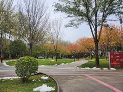 -唐城墙遗址公园