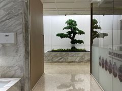 -柏乐口腔医院·舒适化无痛种植牙中心(东盟商务区院)