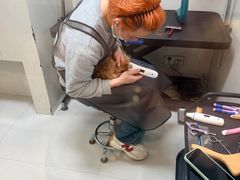 -悠尼宠物·独立低压伊珊娜洗护·美容·寄养(兰谷路店)