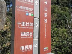 -梧桐山风景名胜区